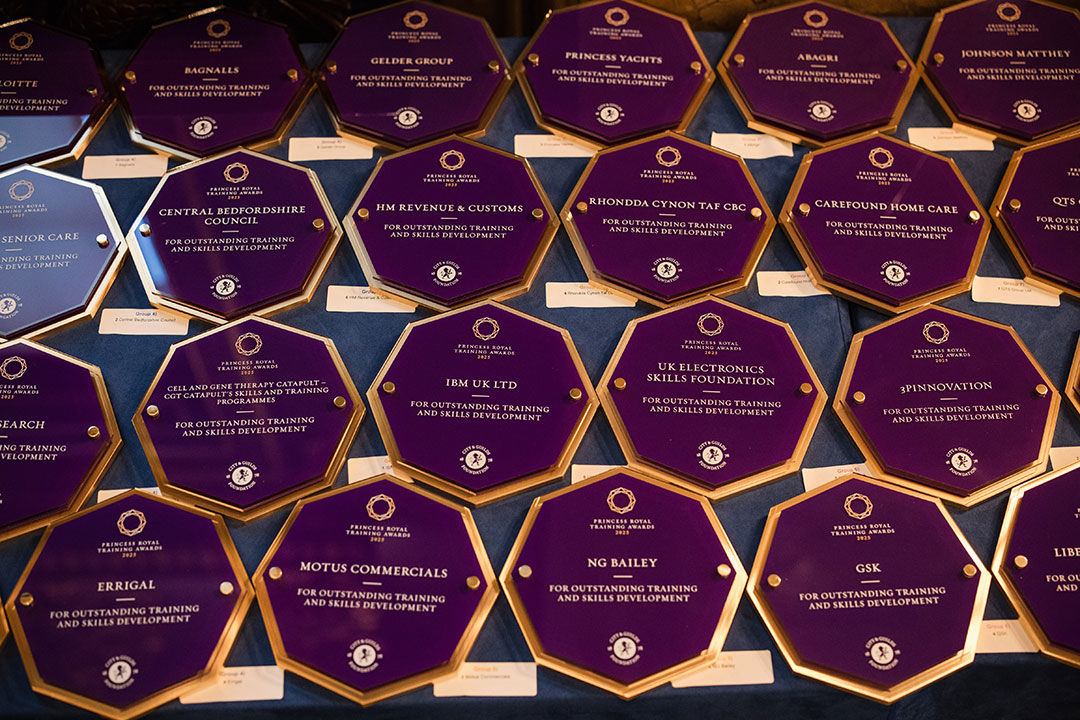 The Princess Royal Training Awards Plaques